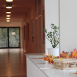 Betreutes Wohnen Strass (2)